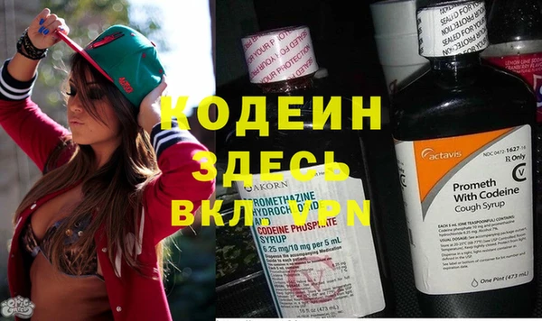 кокс Алексин