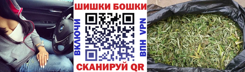 Конопля план  Ноябрьск 